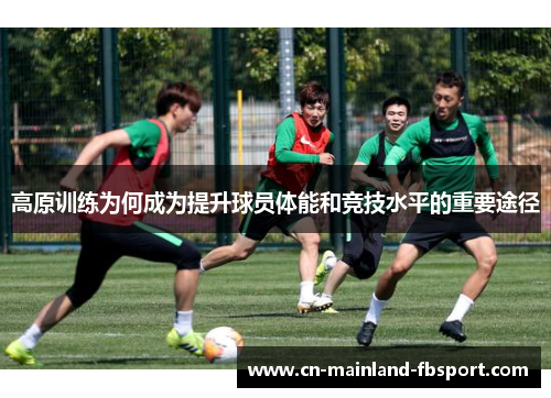 高原训练为何成为提升球员体能和竞技水平的重要途径
