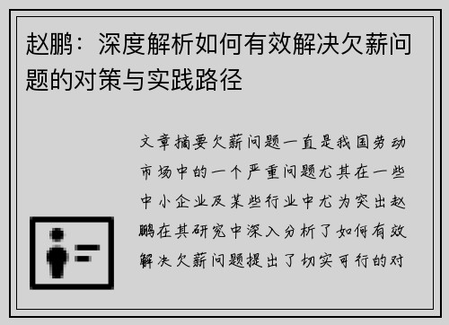 赵鹏：深度解析如何有效解决欠薪问题的对策与实践路径