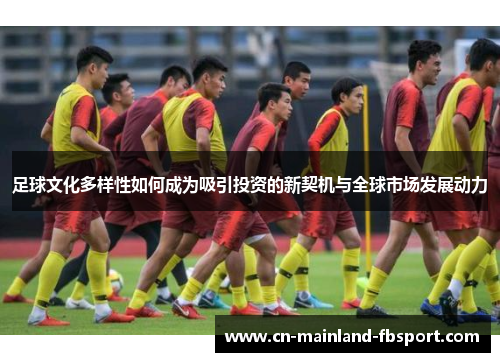 足球文化多样性如何成为吸引投资的新契机与全球市场发展动力