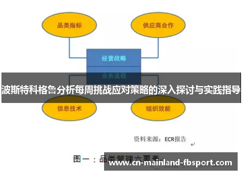 波斯特科格鲁分析每周挑战应对策略的深入探讨与实践指导