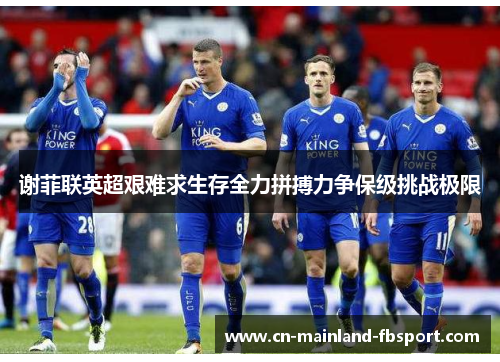 谢菲联英超艰难求生存全力拼搏力争保级挑战极限