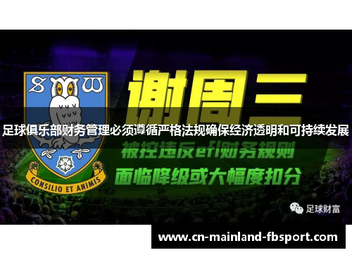 足球俱乐部财务管理必须遵循严格法规确保经济透明和可持续发展